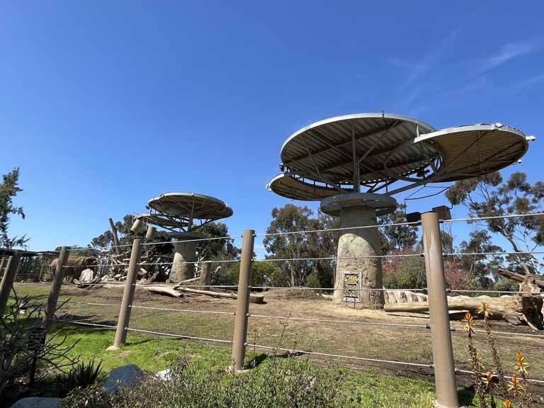 Elephant Exhibit at the San Diego Zoo